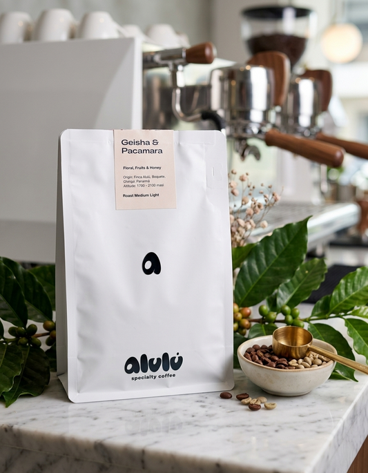 Geisha & Pacamara Blend - Alulú Specialty Coffee